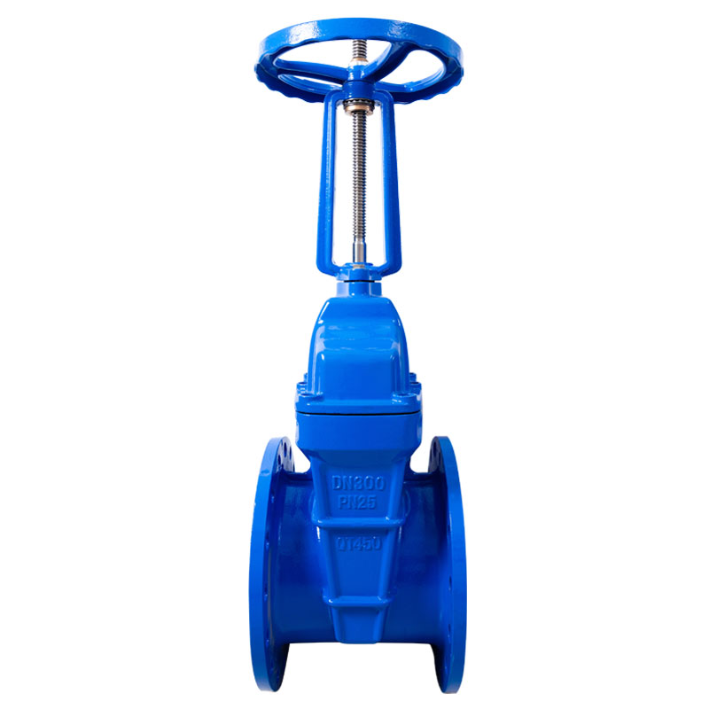 Katup Gerbang Flange Batang Naik PN25